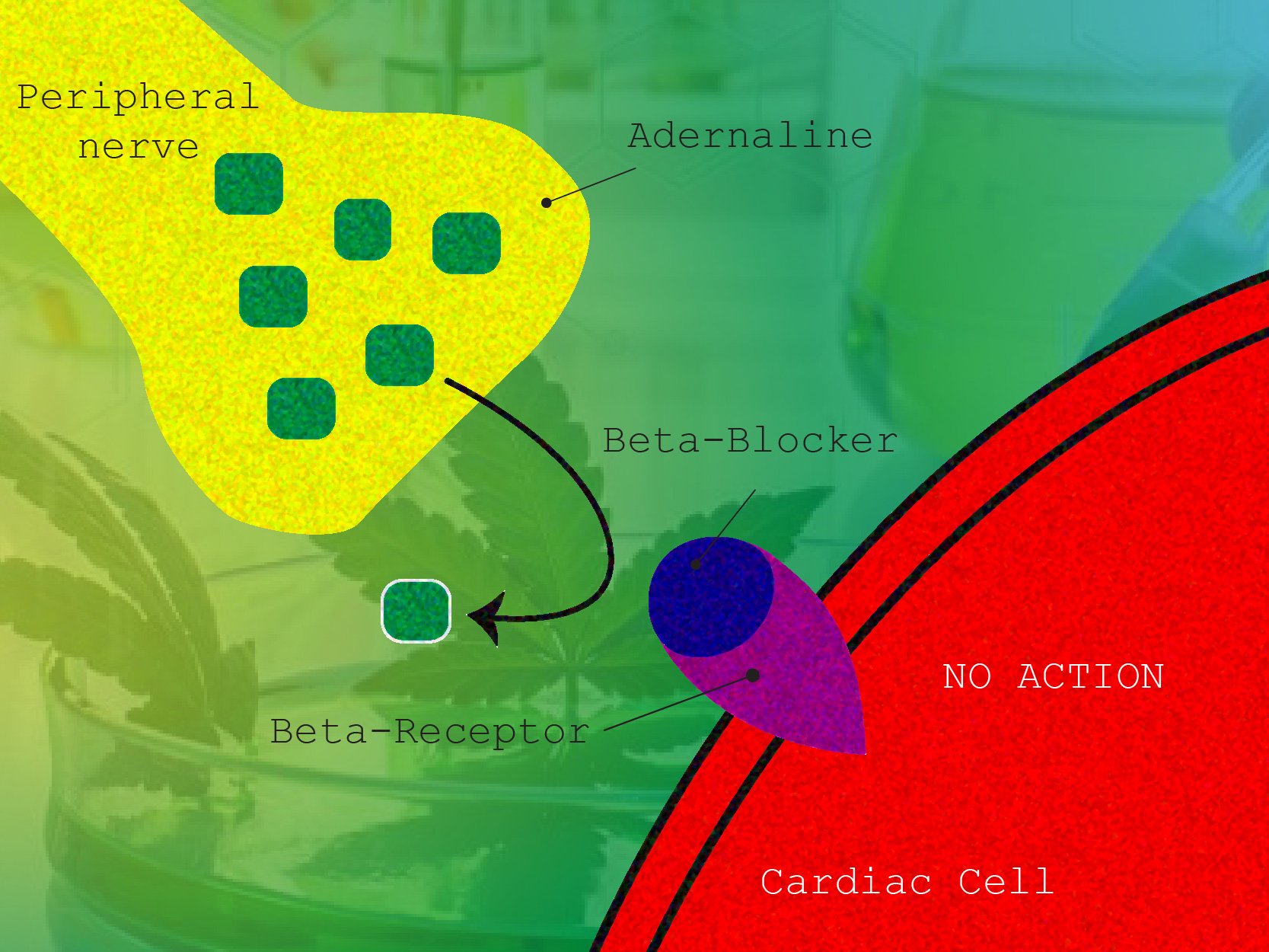 mechanism